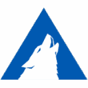 Arctic Wolf brand mark
