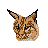 Lynx browser